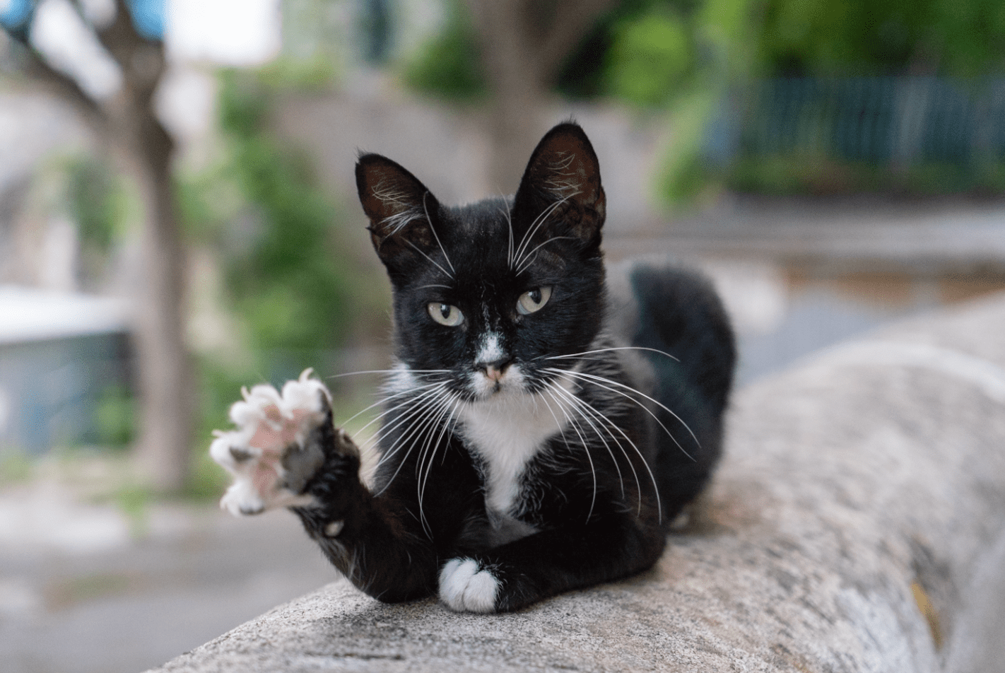 Screen Shot 2018-07-28 at 23.22.09.png