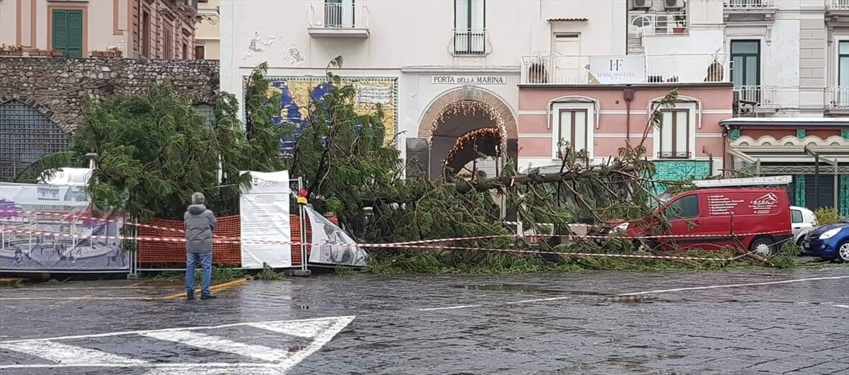 Упало дерево в самом центре Амальфи. Нет, это не рождественская ёлка, это просто дерево